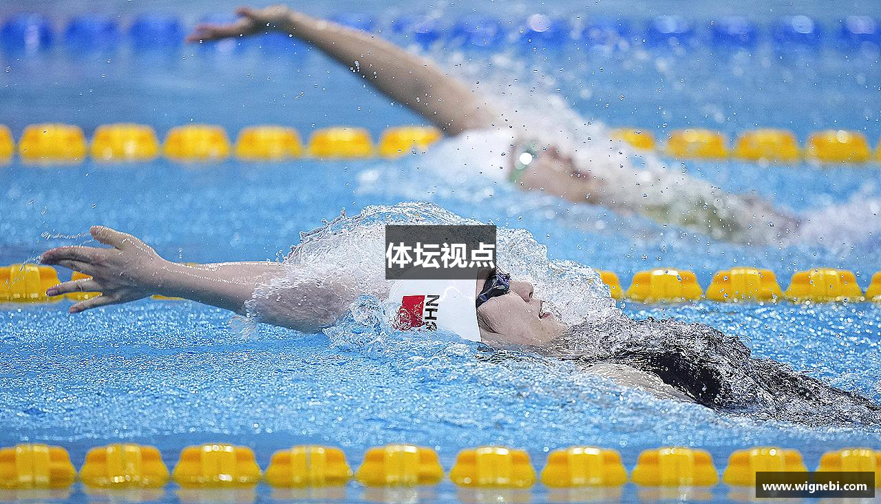 体坛视点